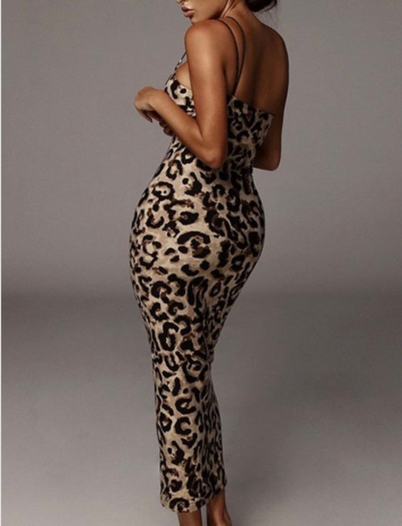 HEAD TO TOE! Leopard