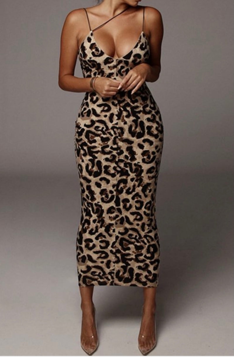 HEAD TO TOE! Leopard